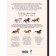 Horses. Illustrated guide on the most popular breeds. Semenova L.S.