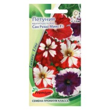 Bright flowers of petunia 