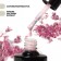 Nail varnish gel, Milk Potal, 3 phase, 8ml, LED/UV, white/bright pink color (10)