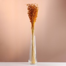 Set of dried flowers 