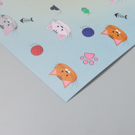 Scrapbooking paper "kittens" density 180 grams set 5 pcs 30.5x32 cm-3