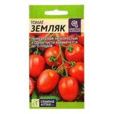 Semen Tomat 