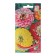 Cinnia Flowers "Princess Park", 23 pcs