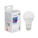 LED LED Philips Ecohome Bulb 865, E27, 9 W, 6500 K, 720 lm, pear