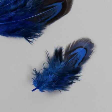 Decorative pheasant feather "Rice. Blue" set 20 pcs h = 5-7 cm-2