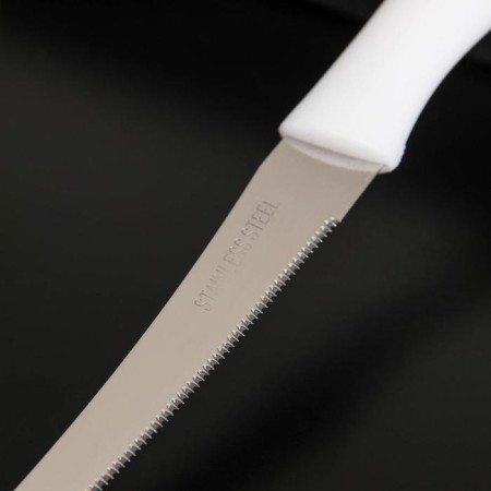 Kitchen knife for citrus "Aria", blade 12 cm, color mix-2