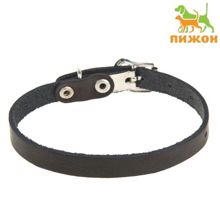 Single-layer leather collar, 30 x 1 cm, Osh 19-27 cm, black