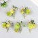 Flowers for decorating "echinops with berries" light green 8 cm