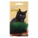 Seeds of grass for cats "Murzik", mixture, 8.1 g