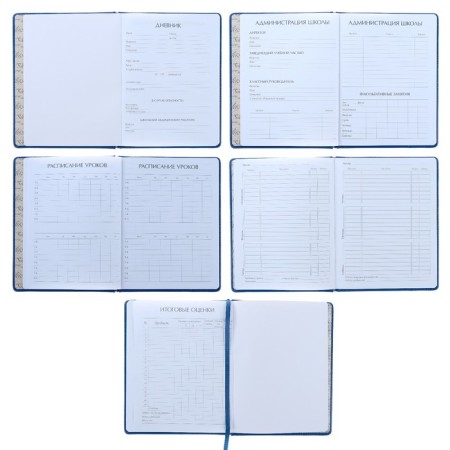 Universal diary for grades 1-11, 48 sheets of Sidney Nebraska, solid cover, artificial leather, thermoting, liesse, block 70 g/m2, lilac-1