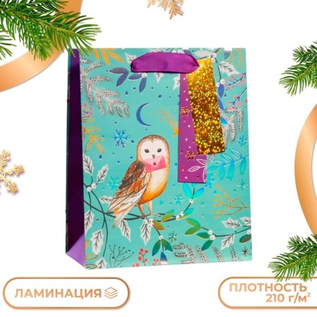 Gift Package "Winter Owl", luxury 18 x 22.3 x 10 cm
