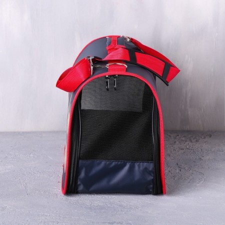 Cracking bag folding, frame "drove!" 45x27x20 cm-4