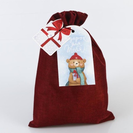 Gift bag “Gift for you”, 20 x 30 cm +/- 1.5 cm, New Year-3