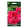 Flowers of petunias Trose Dabble Cascade Pink, 10pcs