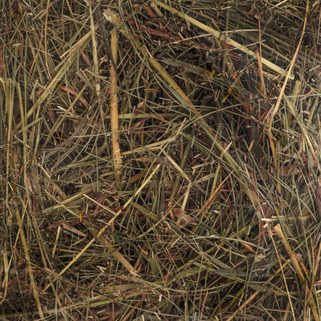 Lugovoi hay with alfalfa “dive” for rodents, 20 l, 500 g-7