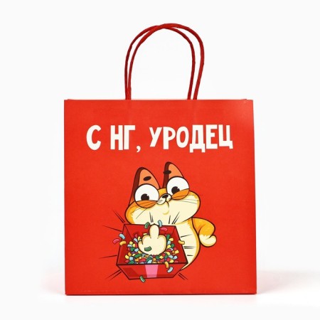 Gift Package "Freak", 22 x 22 x 11 cm, New Year-2
