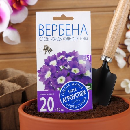 Verben's flowers "Izids" stunted, o, 7 pcs-2