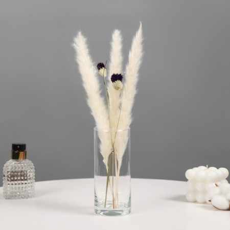 Rotonda-3 vase 15x6.5 cm, 0.43l 2824 transparent-1
