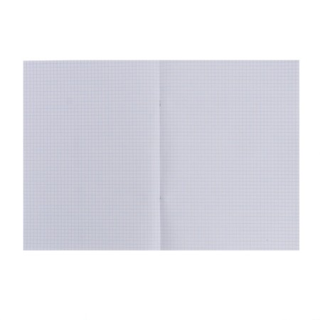 A4 notebook, 80 sheets, cell, "sunny city", cover of chromerzatz-1