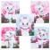 Notebook in a ruler of 12 sheets, 5 types of mix, cover coated cardboard, cats aristocrats
