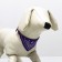A collar with a scarf 32 x 1 cm, Osh 22-28, purple