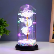 Nightlight 