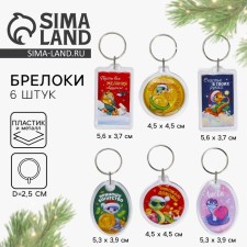 A keychain of plastic 