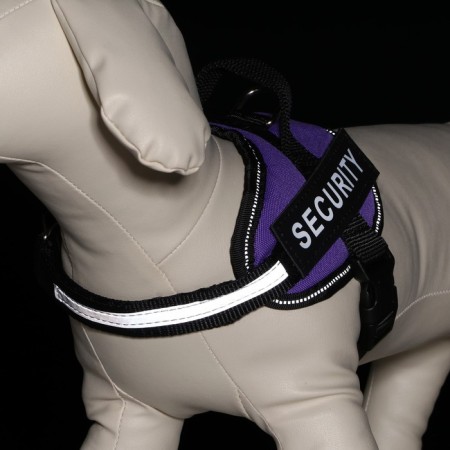 C9 sloping is soft reflective, size XS, OG 38-50 cm, weight 3-6 kg, purple weight-6