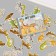 Stickers for creativity "Wild animals" embossing gold set 48 pcs 9x7x0.8 cm