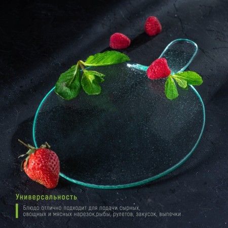 Glass Serving Magistro "Avis", 24.5 × 17 × 3.5 cm, transparent color-3