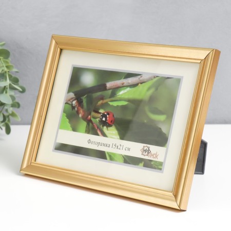 Photo frame 1017-1123 (15x21 cm)-2