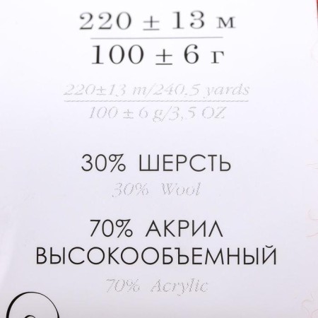 Yarn "Narodnaya" 30% wool, 70% acrylic volume 220m/100g (30-sv. Terracot)-1