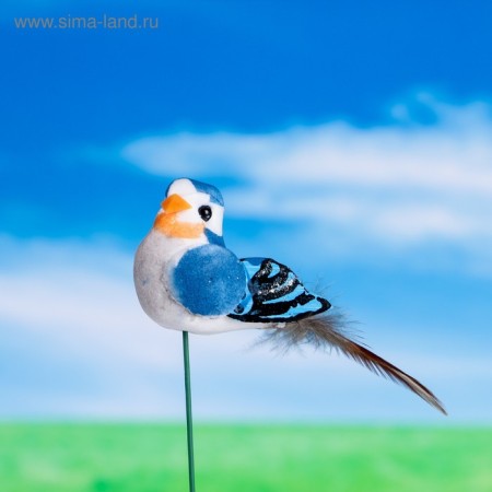 Plug for indoor plants "Bird" 3x3cm, 8cm mix / packing 12pcs, price per pcs-5
