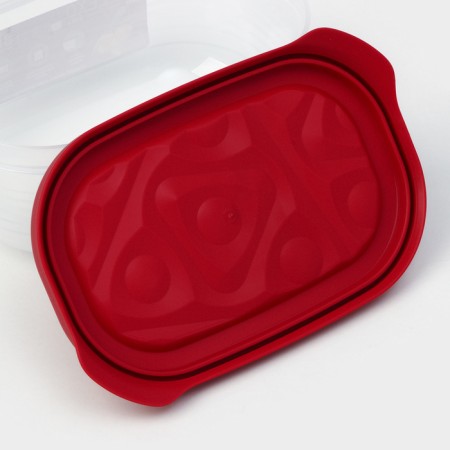 The container is plastic with the lid Flexo, 0.65 l, the color is red-5