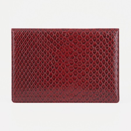 Cover for passport, red color-2
