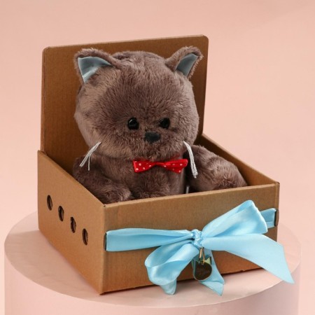 Soft toy "birthday man Marti", cat, 25 cm-6
