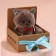 Soft toy "birthday man Marti", cat, 25 cm