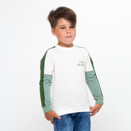 Sweatshirt for a boy, the color is gray-green, height 110 cm-1