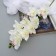 Artificial flowers "Amabilis orchid" 90 cm, white