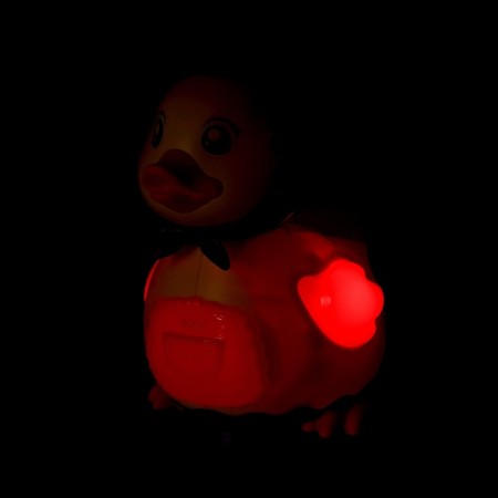 Catcam "Duck-Nesushka", sound effects, lays eggs-10