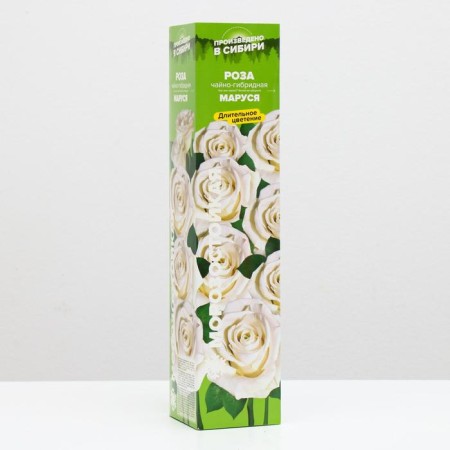 Sahenian Rosa Maroussia, spring 2024, 1 pc.