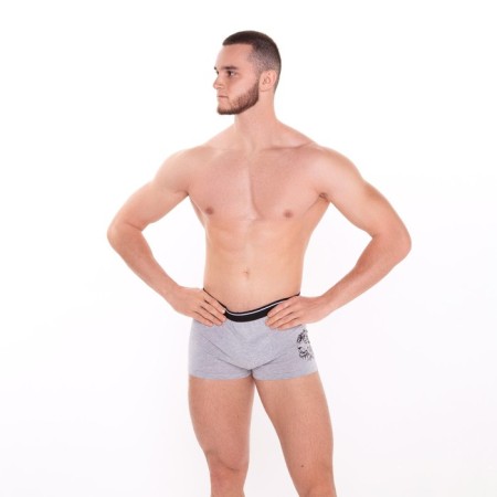 Panties men's boxers "lion", color gray melange, size 46-2