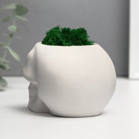 Concrete Kashpo "Skull" with moss 7x11 cm white (moss green stabilized)-3
