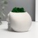 Concrete Kashpo "Skull" with moss 7x11 cm white (moss green stabilized)