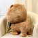 Soft toy "Dog" in a butterfly 60 cm, brown color