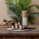 Diffusor Pasionaria "Sandal", 200 ml