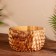 Saladnik 20x20x10 cm, tick tree