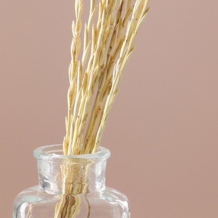 Set of dried flowers "Raigrace", banch 10 pcs, length 25 (+/- 6 cm), bleached-1