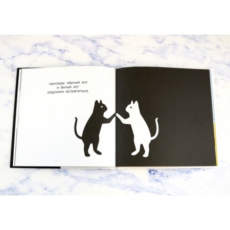 Black cat, white cat. Garralon K.-1