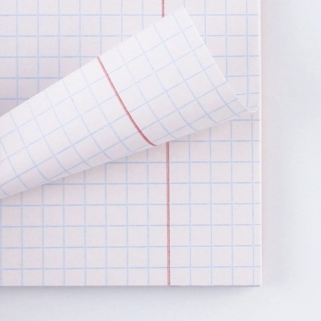 An objective note 48 sheets, A5, nature, with reference materials “September 1: Geometry”, cover coated cardboard 230 gr., Inner block in a cage 80 gr., Whiteness up to 80%, block No. 2.-4